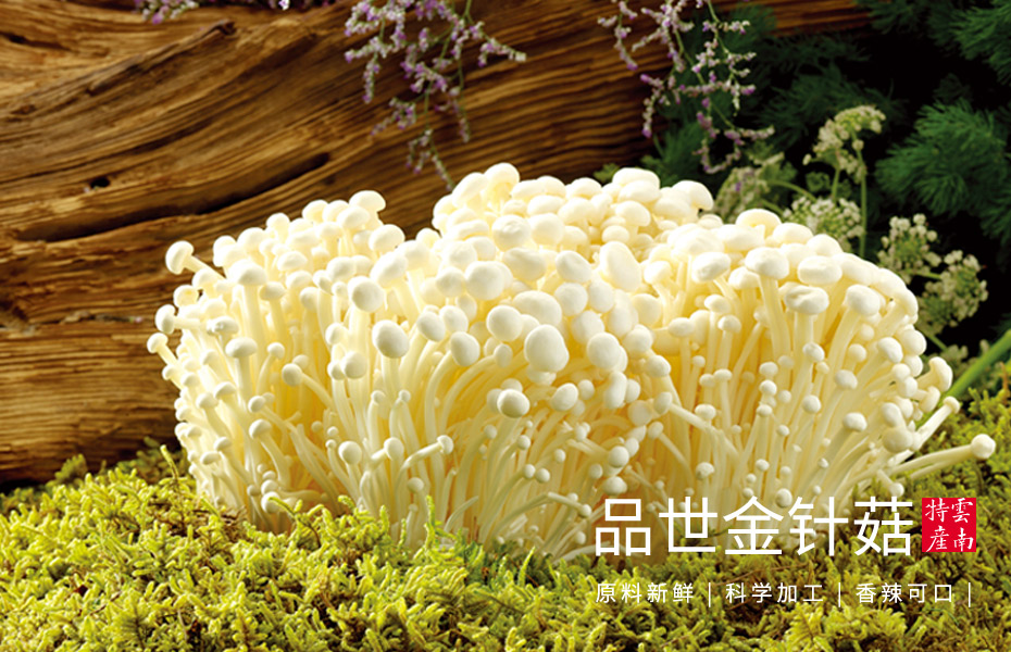 胜游亚洲金针菇