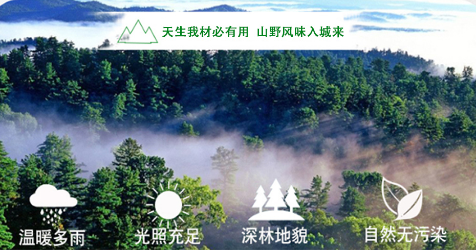 胜游亚洲嫩竹笋