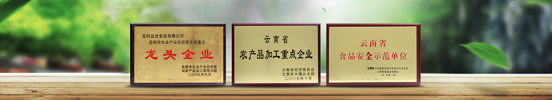 关于胜游亚洲食品