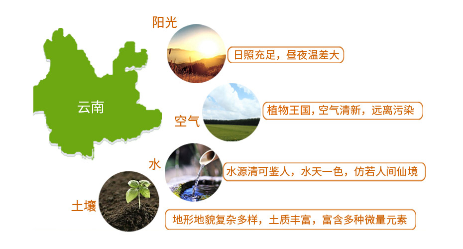 胜游亚洲食品