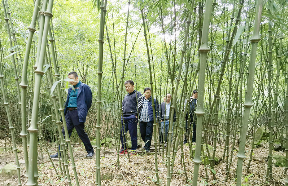 胜游亚洲