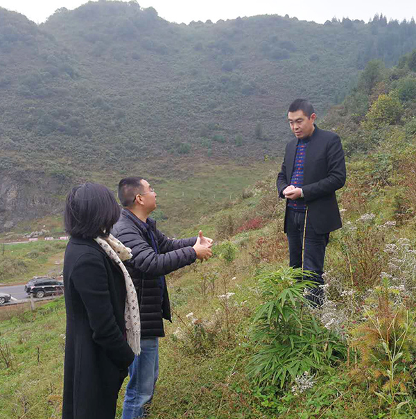 胜游亚洲