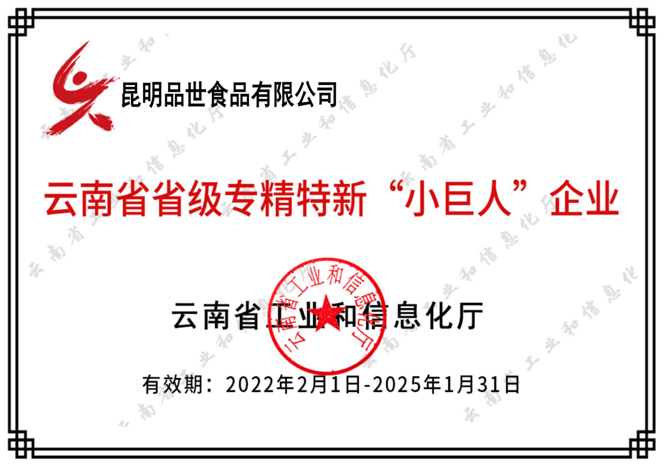 云南省省级专精特新“小巨人”企业