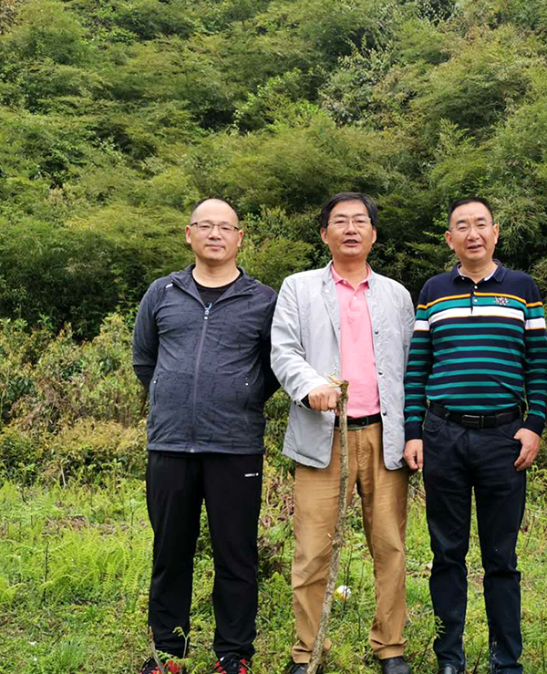 胜游亚洲
