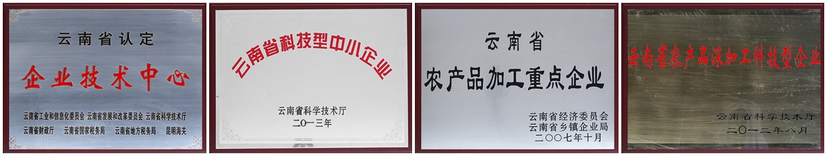 胜游亚洲食品